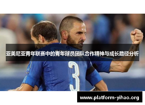 亚美尼亚青年联赛中的青年球员团队合作精神与成长路径分析 亚美尼亚青年联赛中的青年球员团队合作精神与成长路径分析