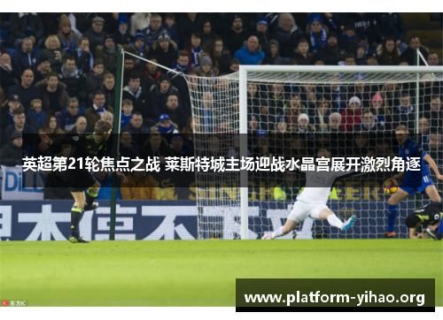英超第21轮焦点之战 莱斯特城主场迎战水晶宫展开激烈角逐 英超第21轮焦点之战 莱斯特城主场迎战水晶宫展开激烈角逐